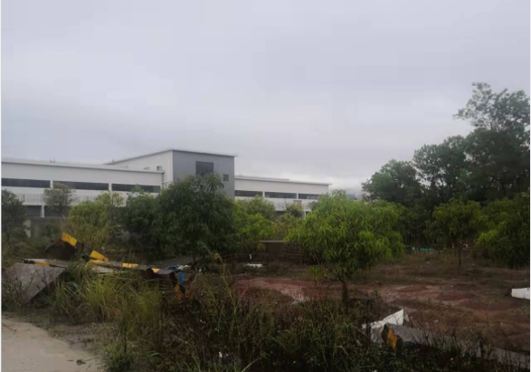 国产精品自产拍在线观看免费