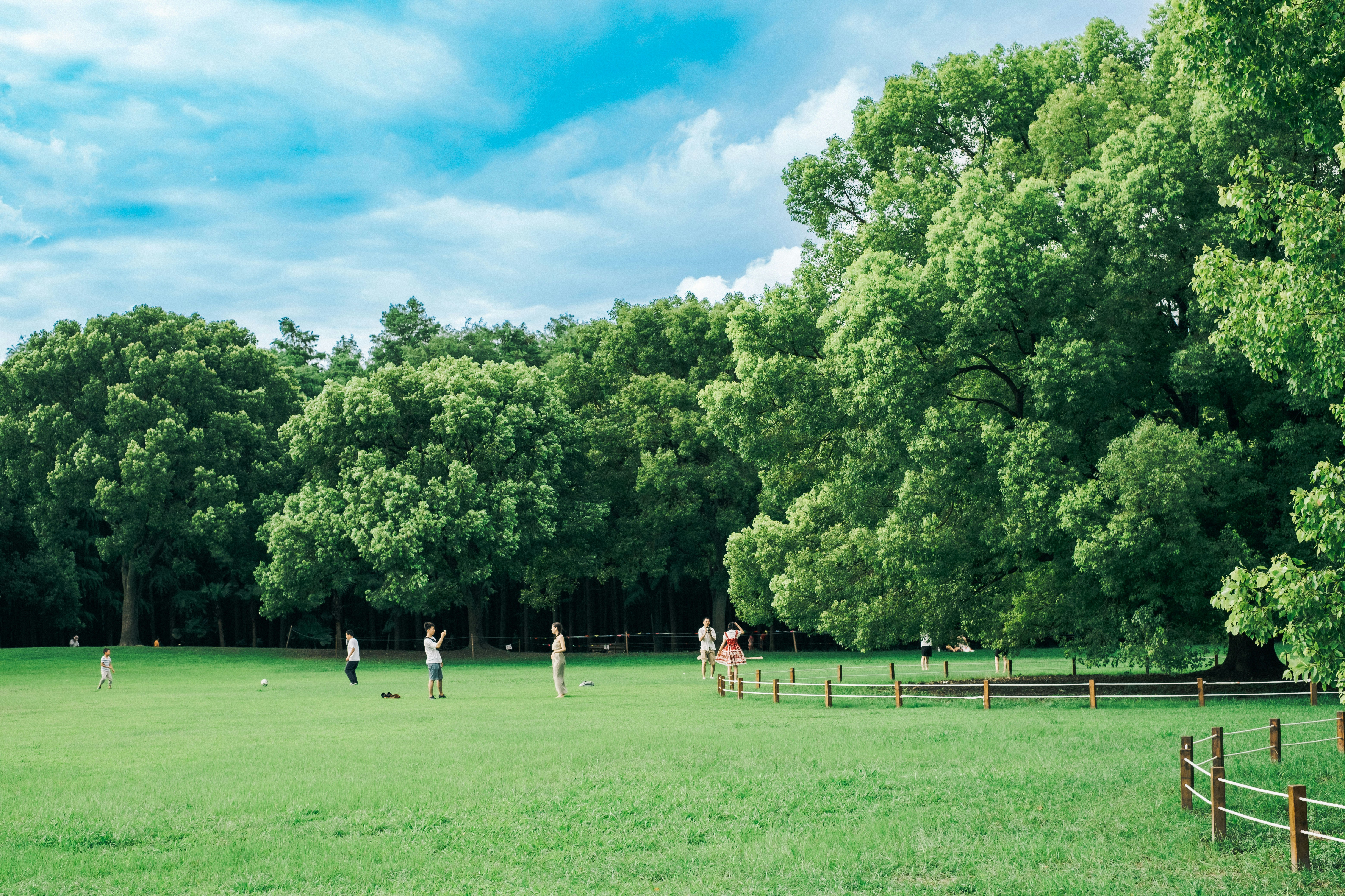 国产精品自产拍在线观看免费